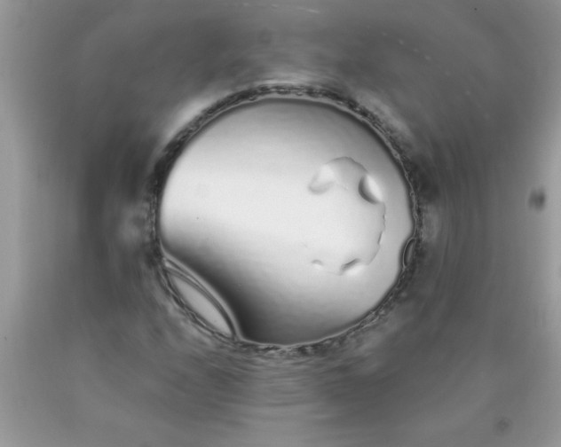 X0000090461208200707272229