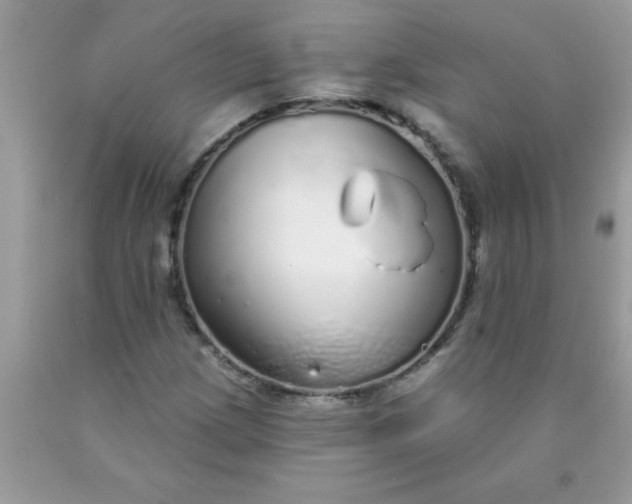 X0000090461209200707272229