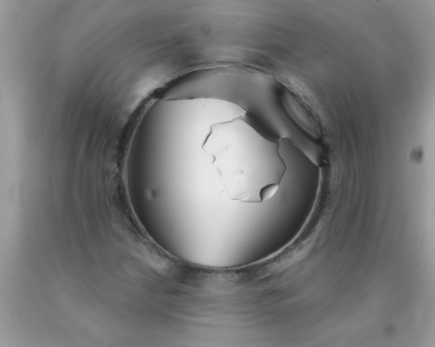 X0000090461210200707272230