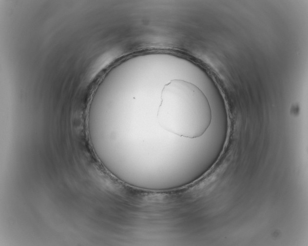 X0000090461211200707272230