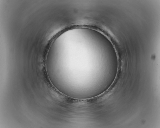X0000090461213200707272230