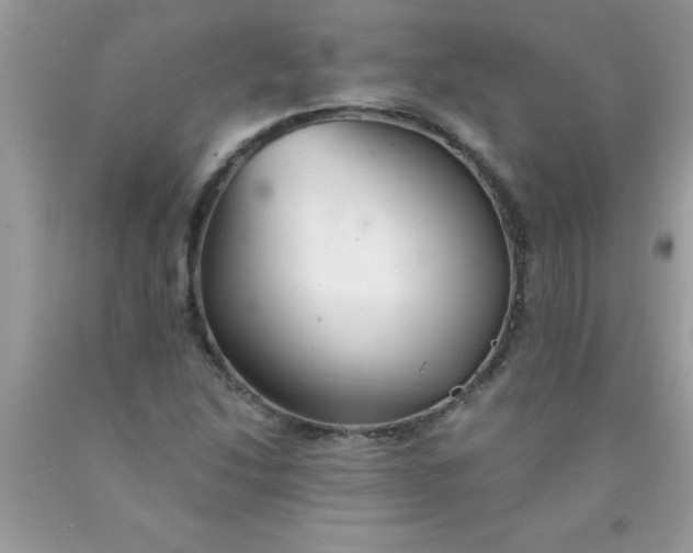 X0000090461214200707272230