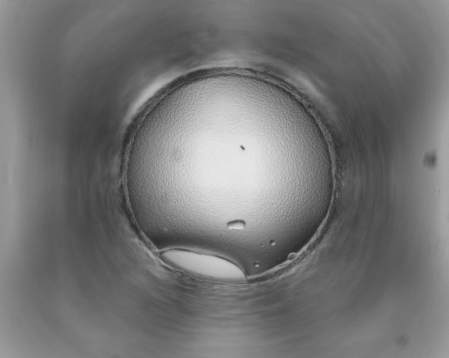 X0000090461216200707272230