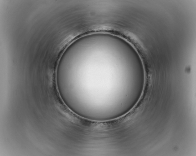 X0000090461217200707272230