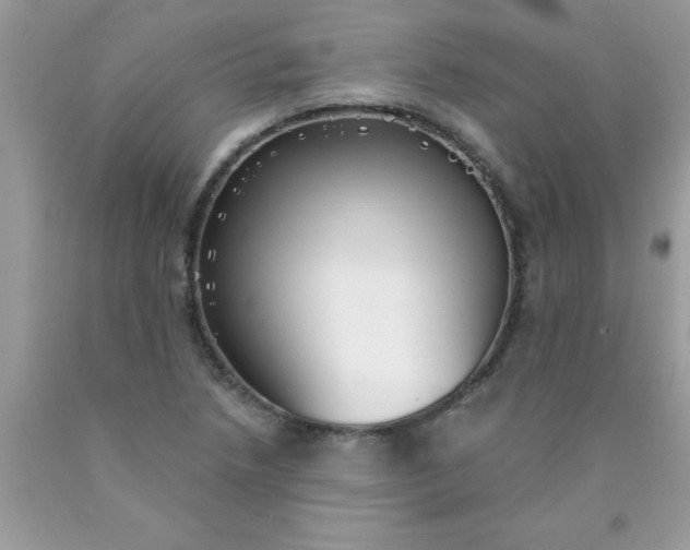 X0000090461218200707272230