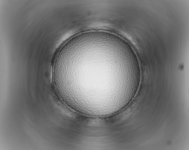 X0000090461219200707272230