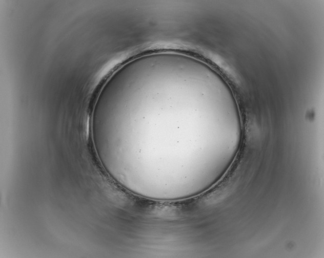 X0000090461221200707272230