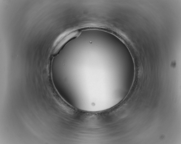 X0000090461222200707272230