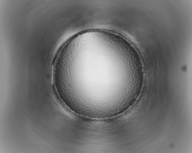 X0000090461223200707272230