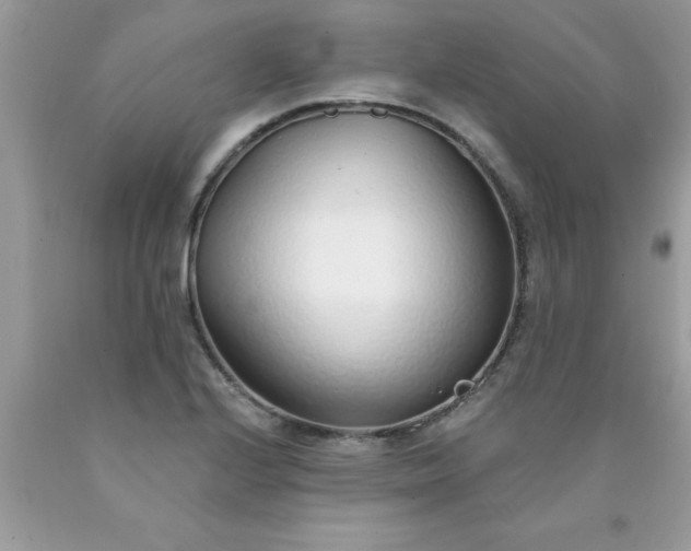 X0000090461224200707272230