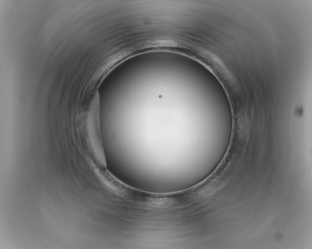 X0000090461225200707272230