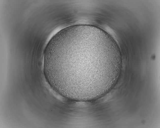 X0000090461227200707272230