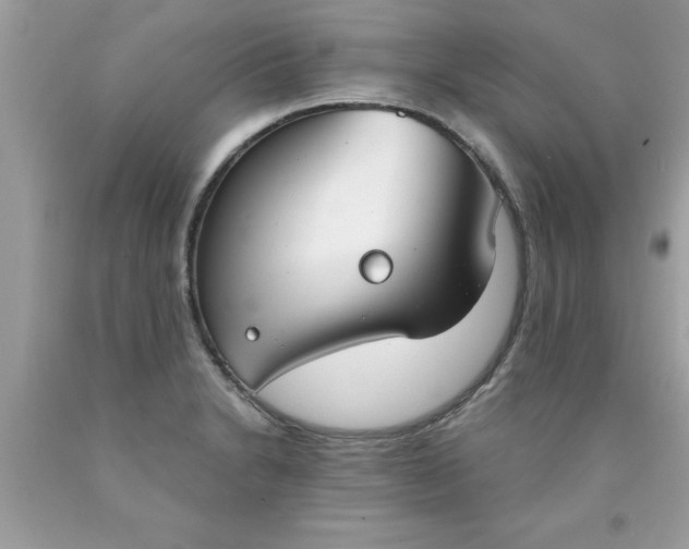 X0000090461230200707272230