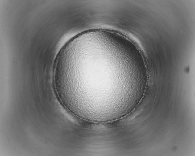 X0000090461231200707272230