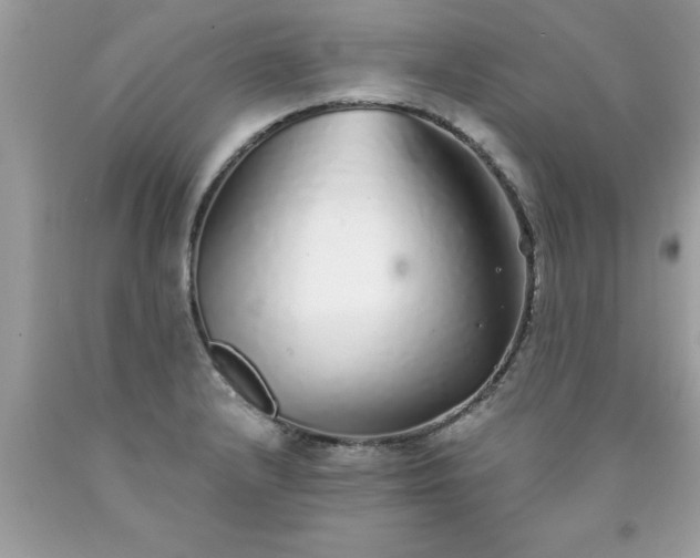 X0000090461232200707272230