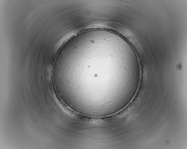X0000090461233200707272230