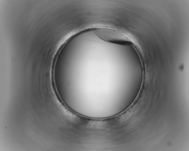 X0000090461237200707272230
