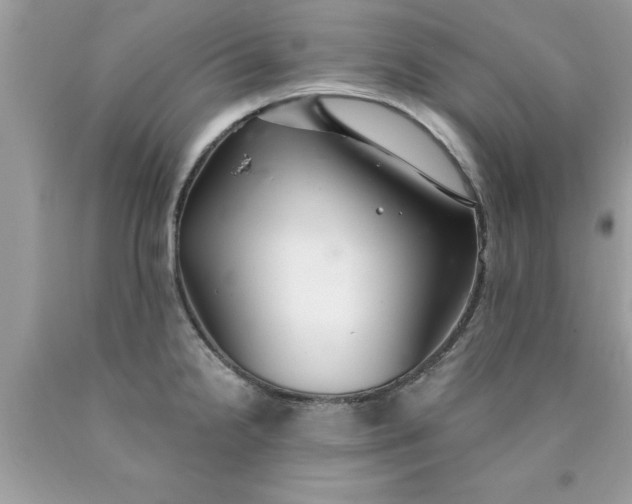 X0000090461238200707272230