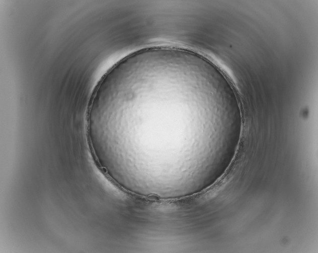X0000090461239200707272230