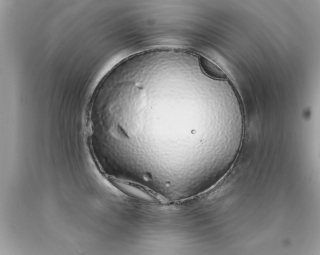 X0000090461243200707272230