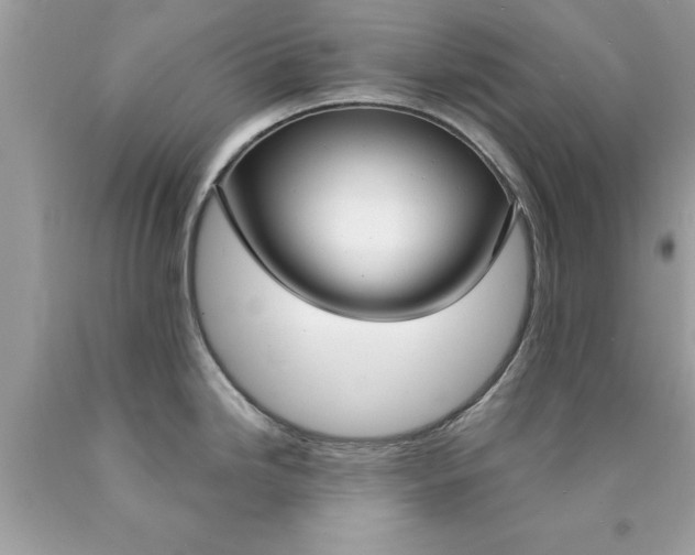 X0000090461246200707272230