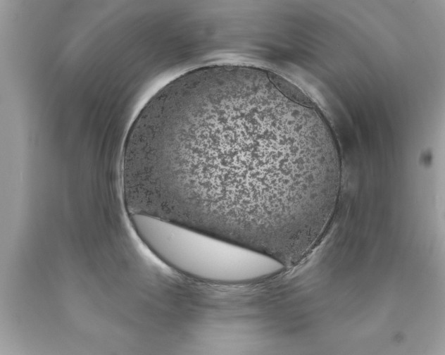 X0000090461247200707272230