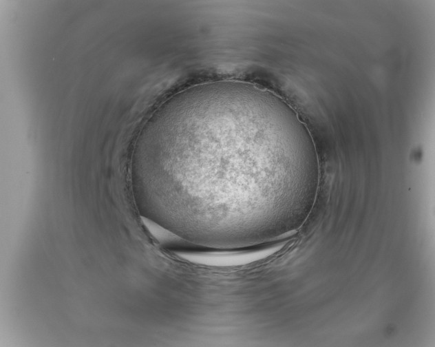 X0000090461249200707272229