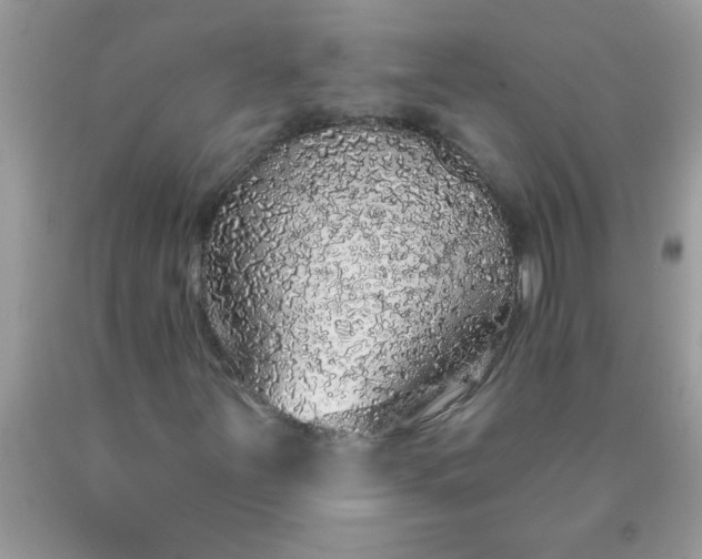 X0000090461251200707272229