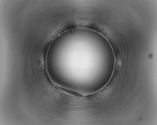X0000090461252200707272229