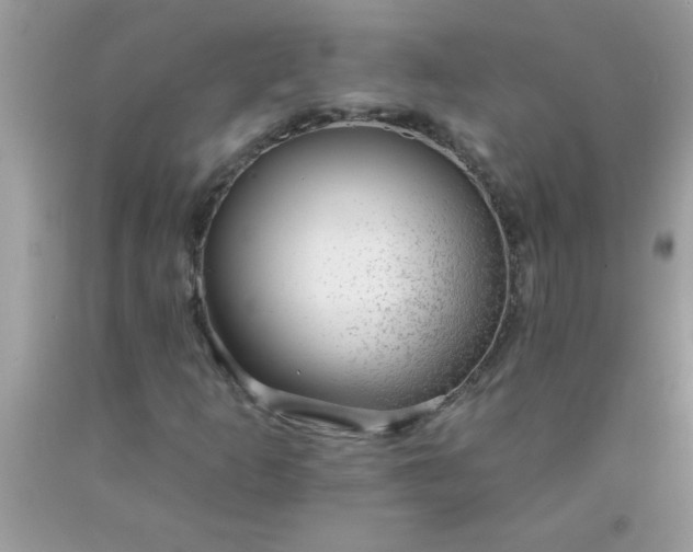 X0000090461253200707272229