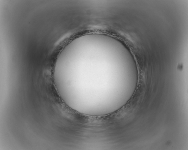 X0000090461254200707272229