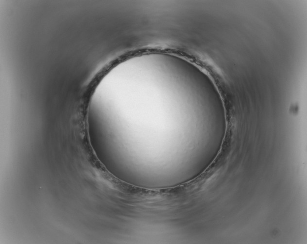 X0000090461256200707272229