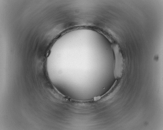 X0000090461257200707272229