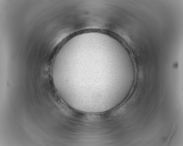 X0000090461258200707272229