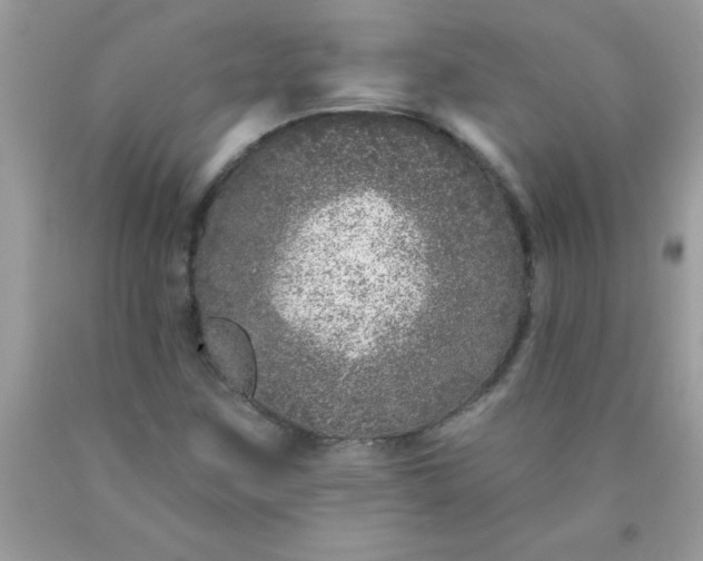 X0000090461259200707272229