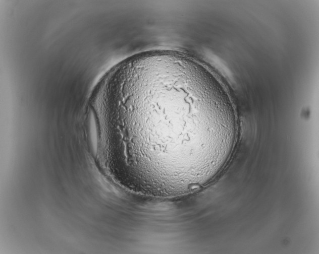 X0000090461260200707272229