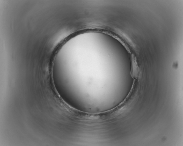 X0000090461261200707272229