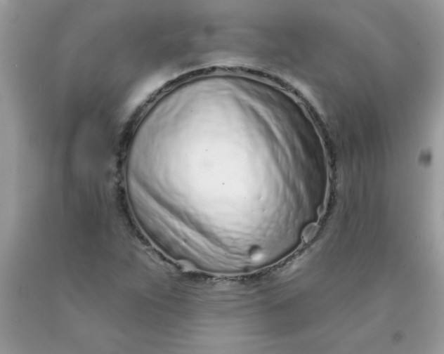 X0000090461263200707272229