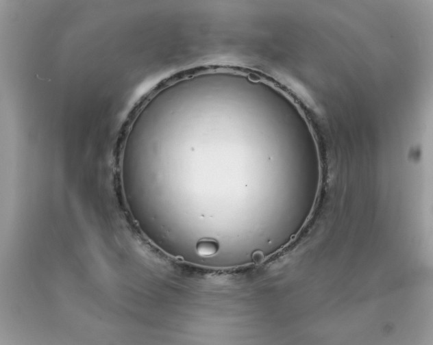 X0000090461264200707272229