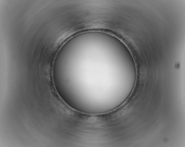 X0000090461265200707272229
