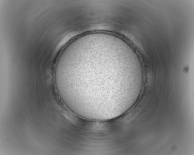 X0000090461266200707272229