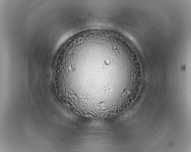 X0000090461267200707272229