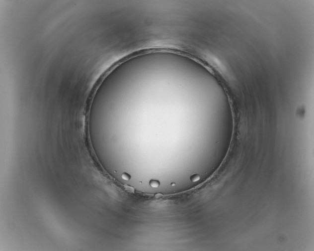 X0000090461268200707272229