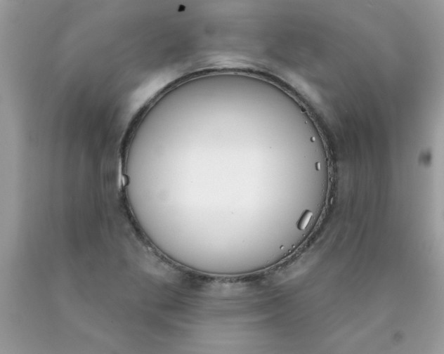 X0000090461269200707272229