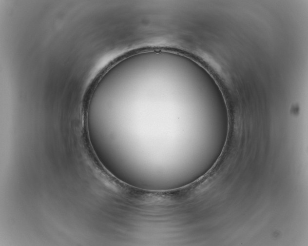 X0000090461270200707272229
