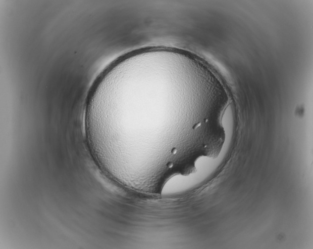 X0000090461272200707272229