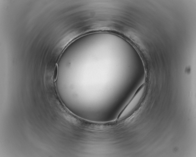 X0000090461273200707272229