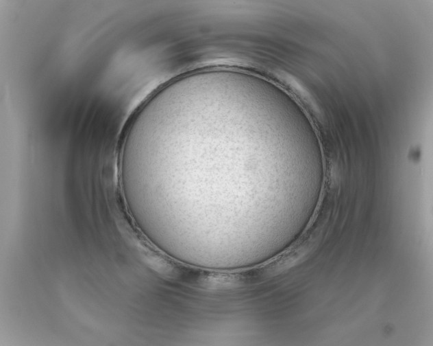 X0000090461274200707272229