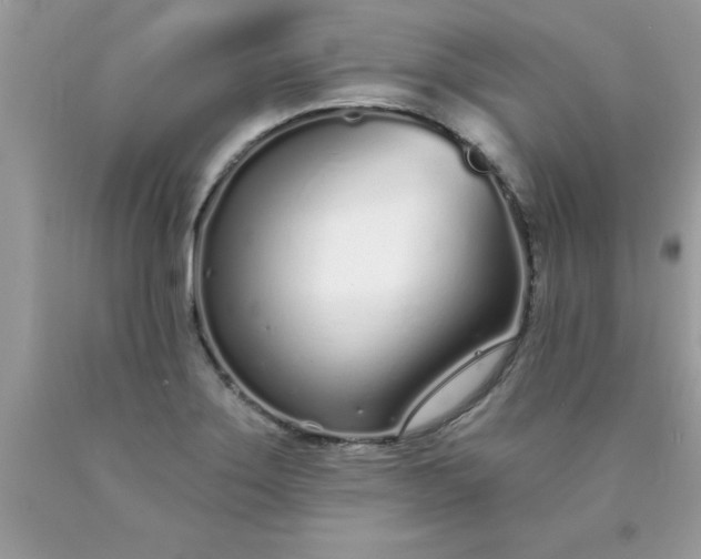 X0000090461275200707272229