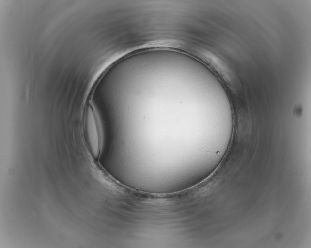 X0000090461276200707272229